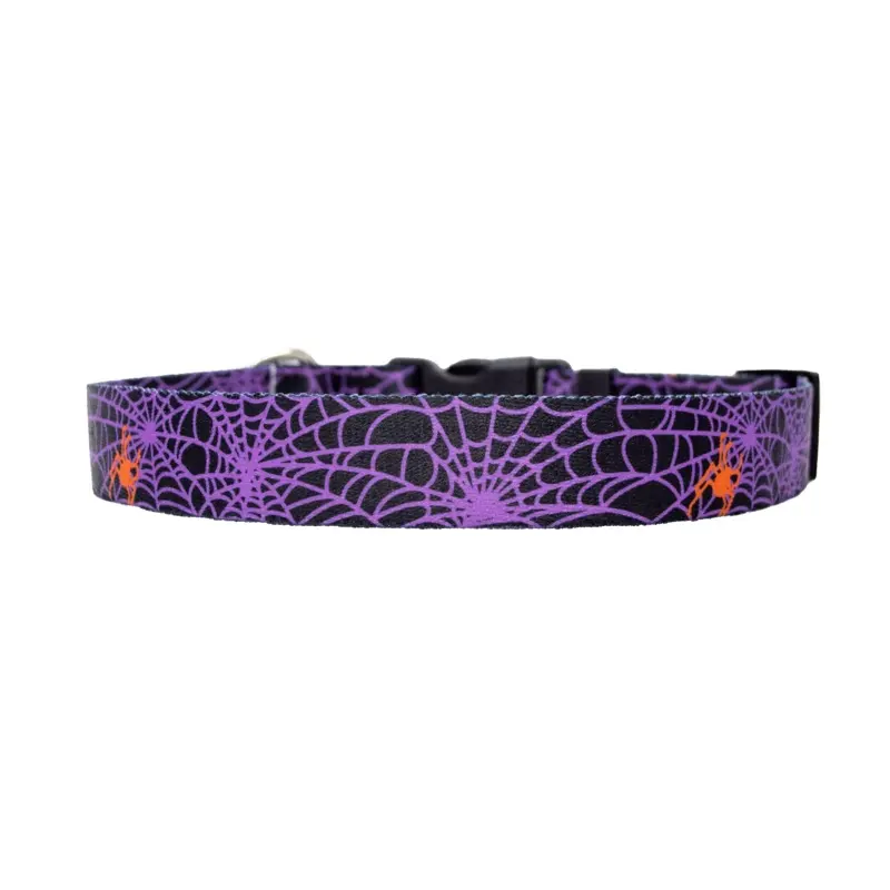 Spider Web Purple Dog Collar