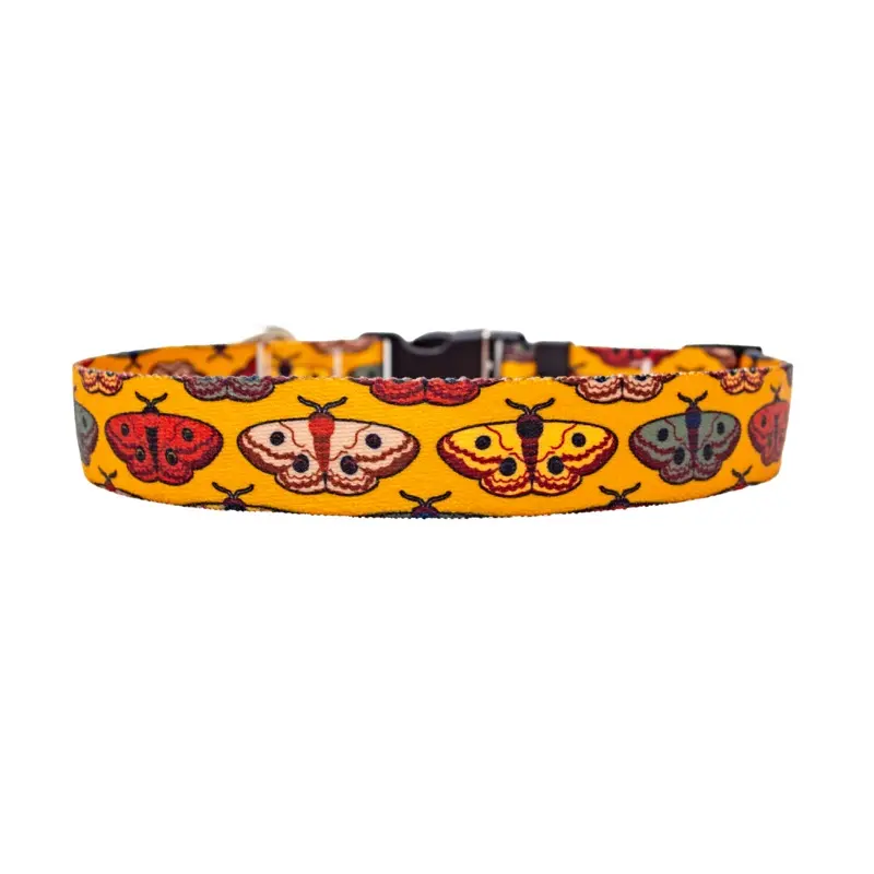 Wings for Fall Dog Collar