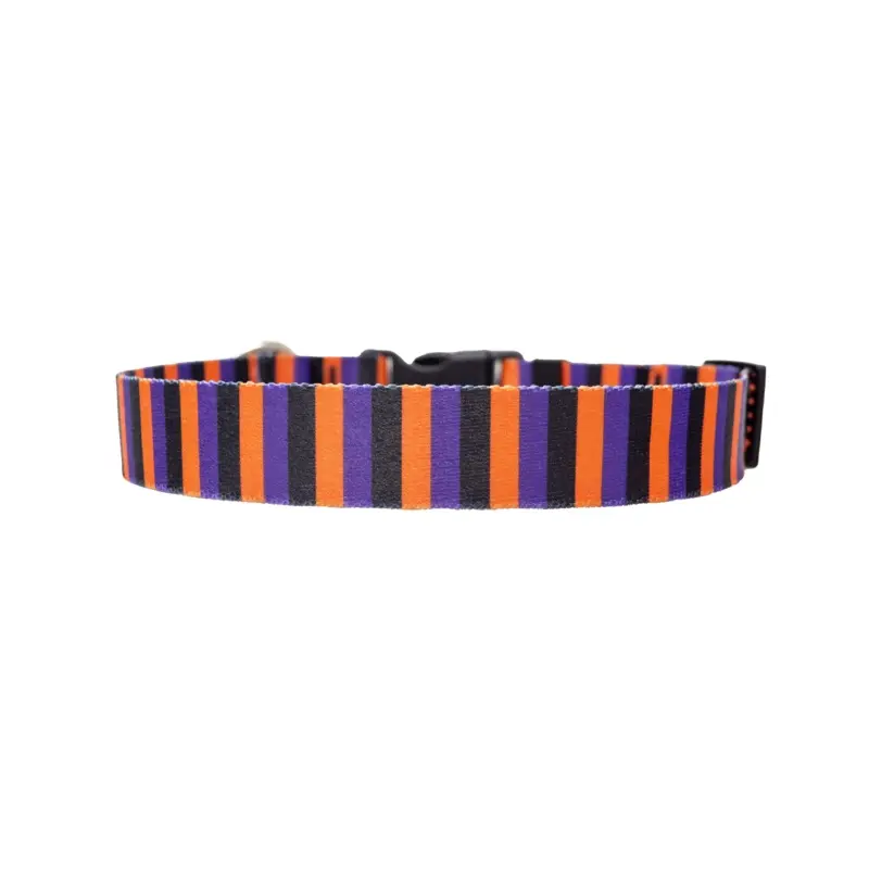 Witchy Stripes Dog Collar