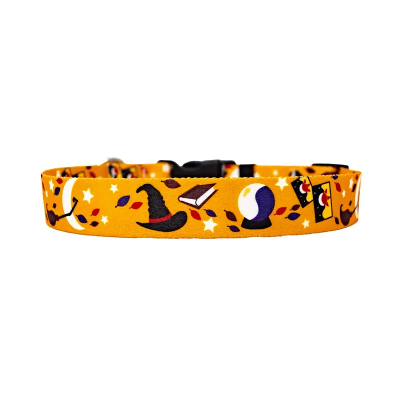 Witchy Ways Dog Collar