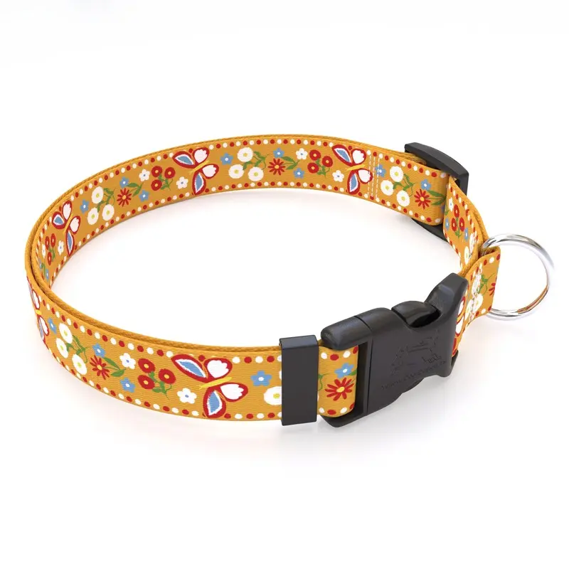 Festive Butterfly Orange Dog Collar