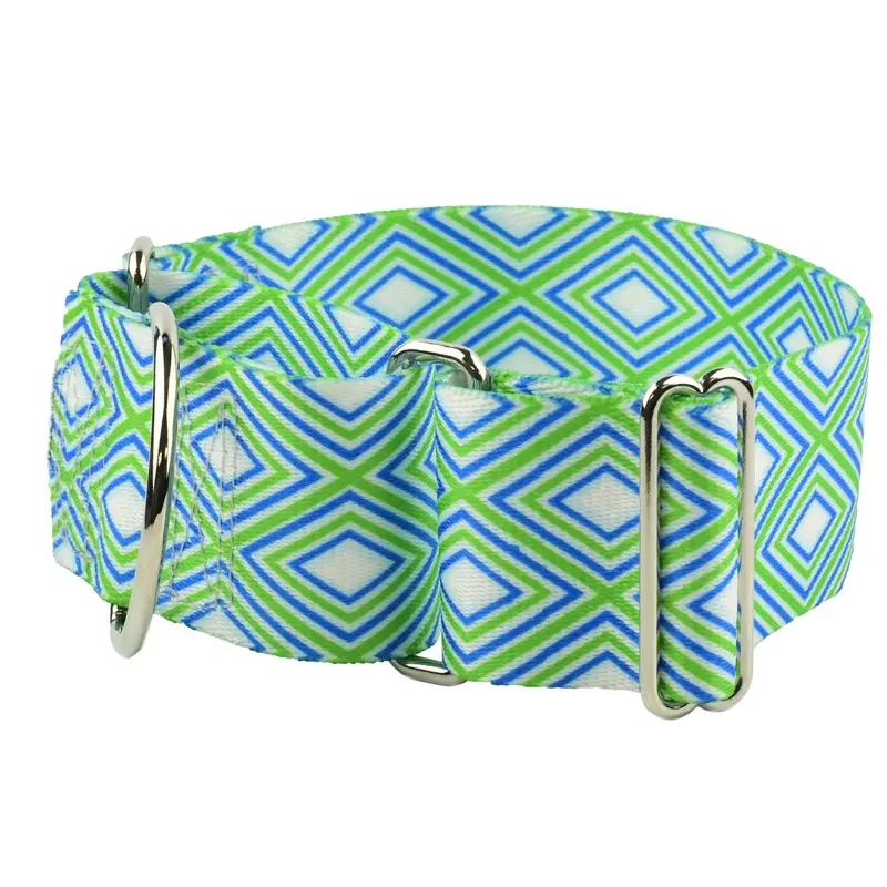 Green and Blue Geometric 2 Wide Martingale Dog Collar