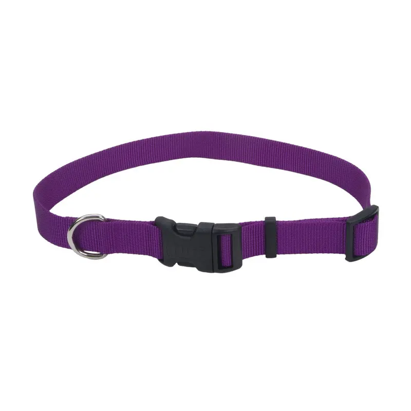 Coastal Adjustable Nylon Collar With Tuff Buckle Purple 1x18-26in 