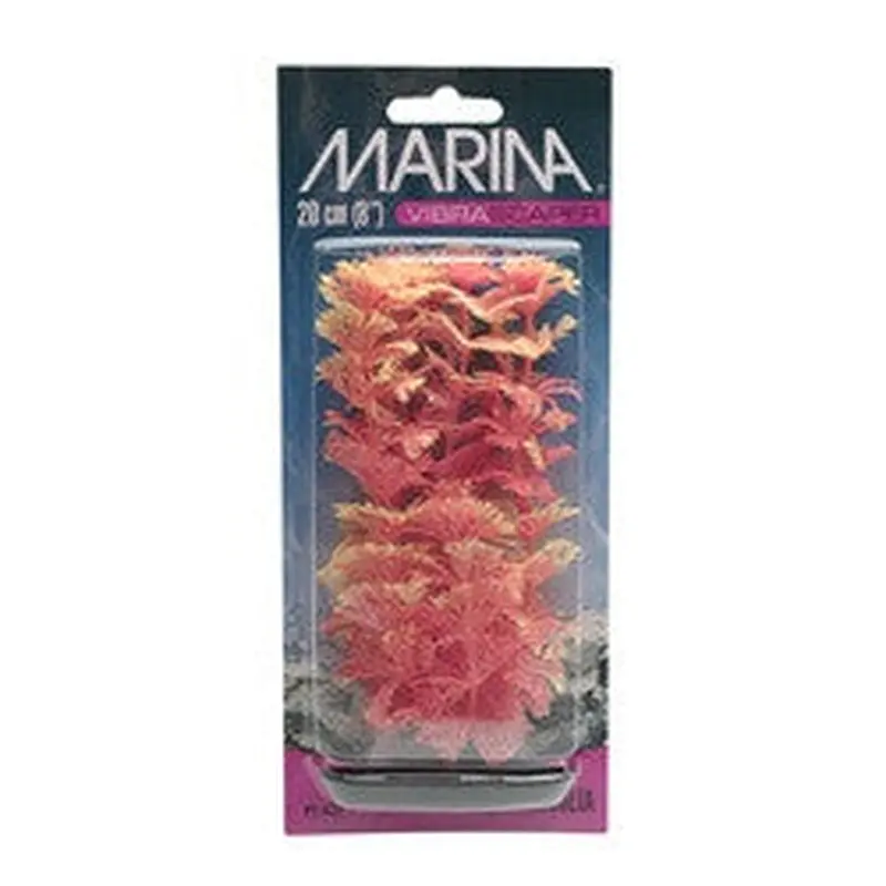 Hagen Marina Vibrascaper Ambulia Medium 8in Pp832
