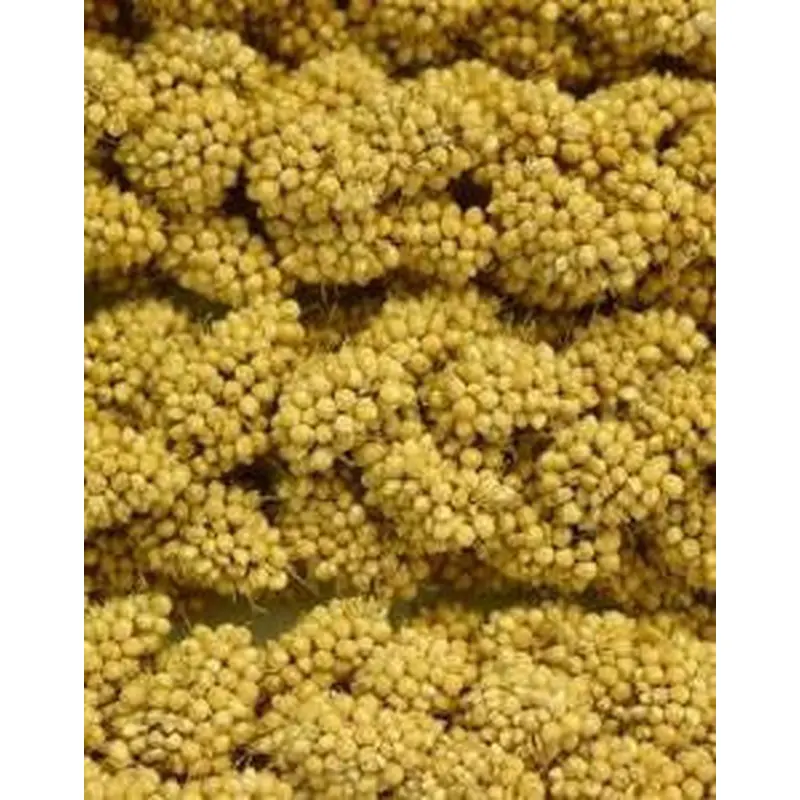 Higgins Spray Millet 12Ct 