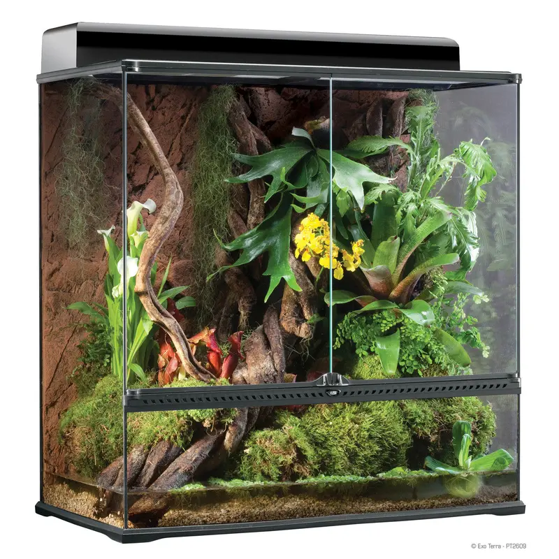 Exo Terra High Glass Terrarium, 36"x18"x36" SD-3