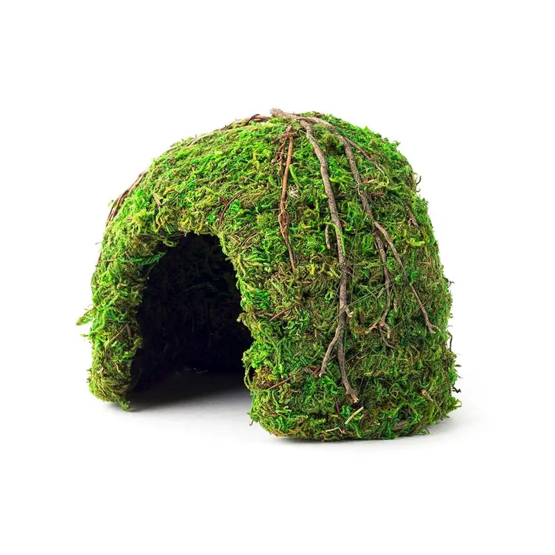 Galapagos Mossy Dome Terrarium Hideaway Fresh Green 6 in