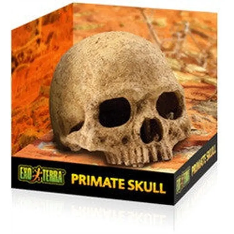 Exo Terra Terrarium Decor, Primate Skull Pt2855