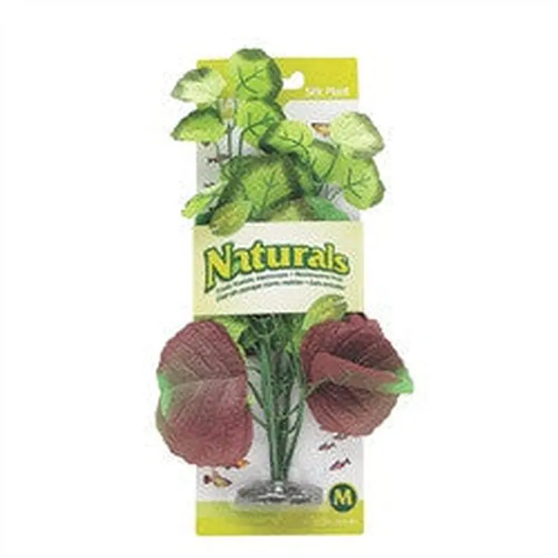 Marina Naturals Pennywort Silk Plant Medium Pp102