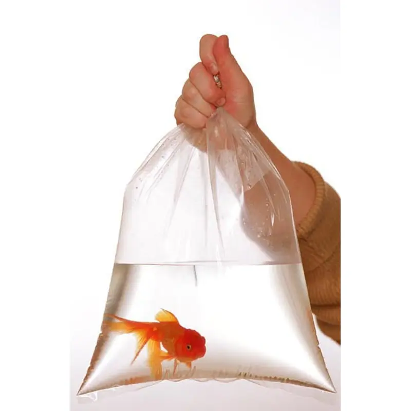 Rutan Poly Industries Fish Bags Clear 2mm 8 InchesX 15 Inches, 1000 Bag
