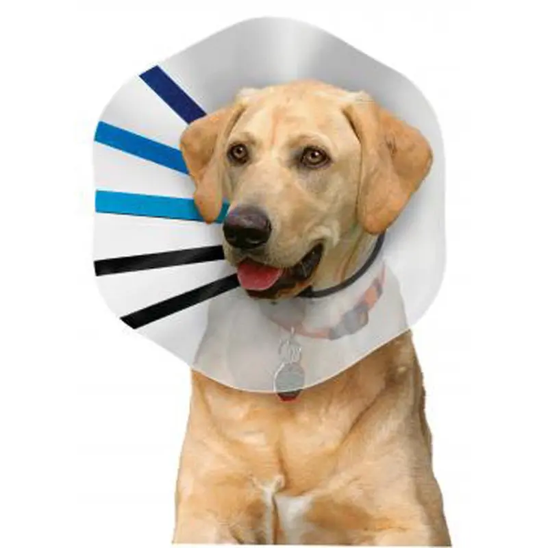 KONG E-Collar Clear/Blue/Black XL