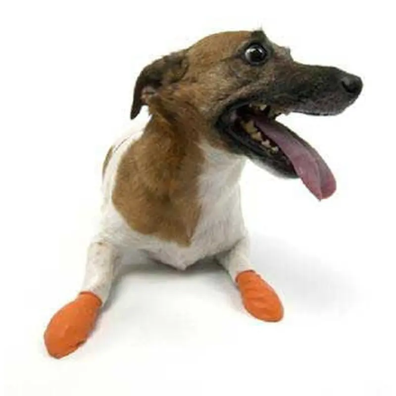 Pawz Dog Boots - 12 pk. Extra Small 