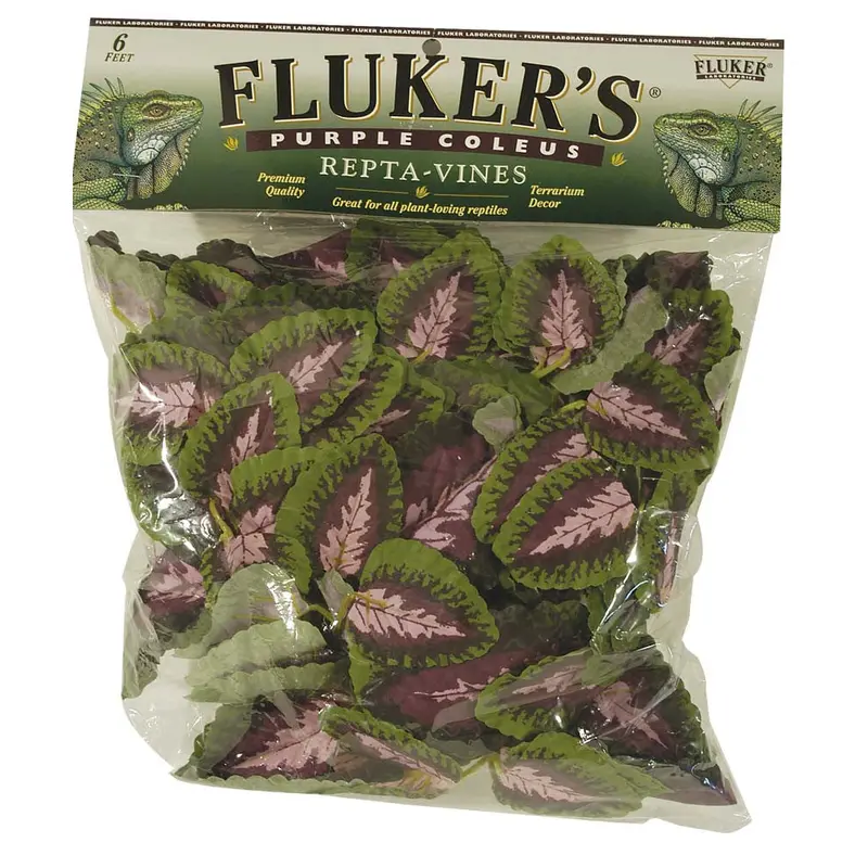 Fluker's Purple Coleus Repta-Vines Green, Purple 6 ft