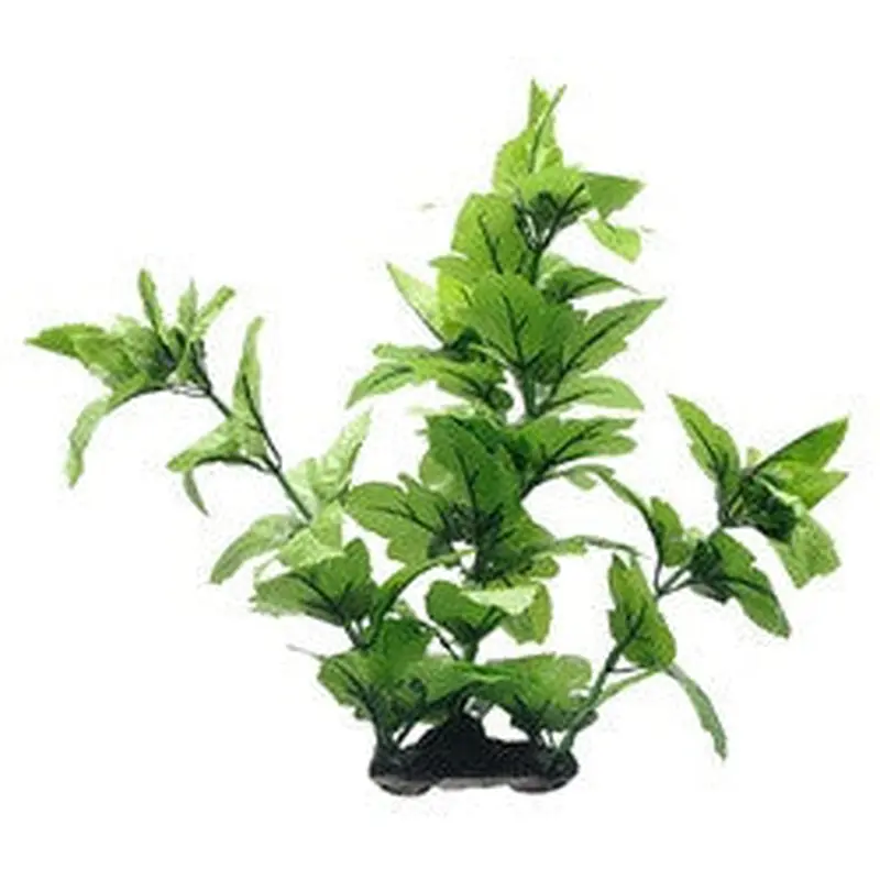Hagen Fluval Lizard's Tail Plant 16in Pp1611