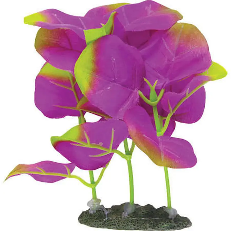 Marina Naturals Indigo Moneywort Forground Plant Pp116