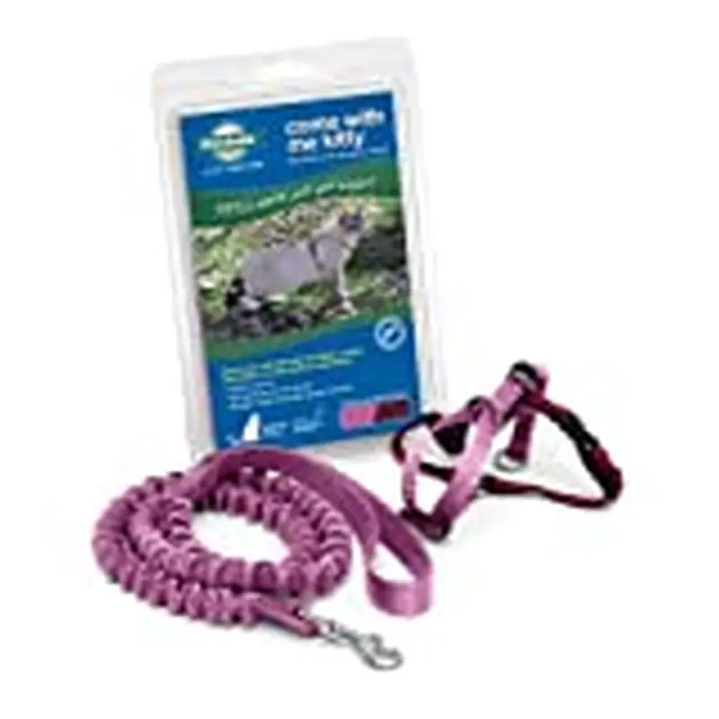 safe fit.Harness design applies gentle pressure to shoulders
