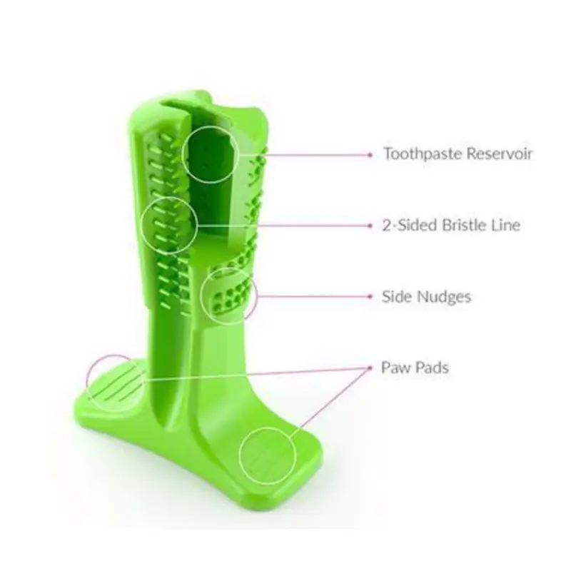Bristly DIY Toothbrush