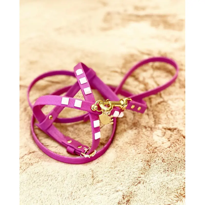 Fashion Dog Harness and Leash Set - Fuchsia with Pink Studs