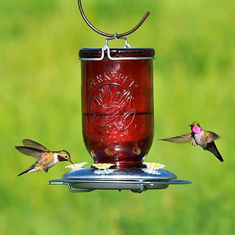 Perky-Pet Red Mason Jar Glass Hummingbird Feeder - 32 oz Nectar Capacity