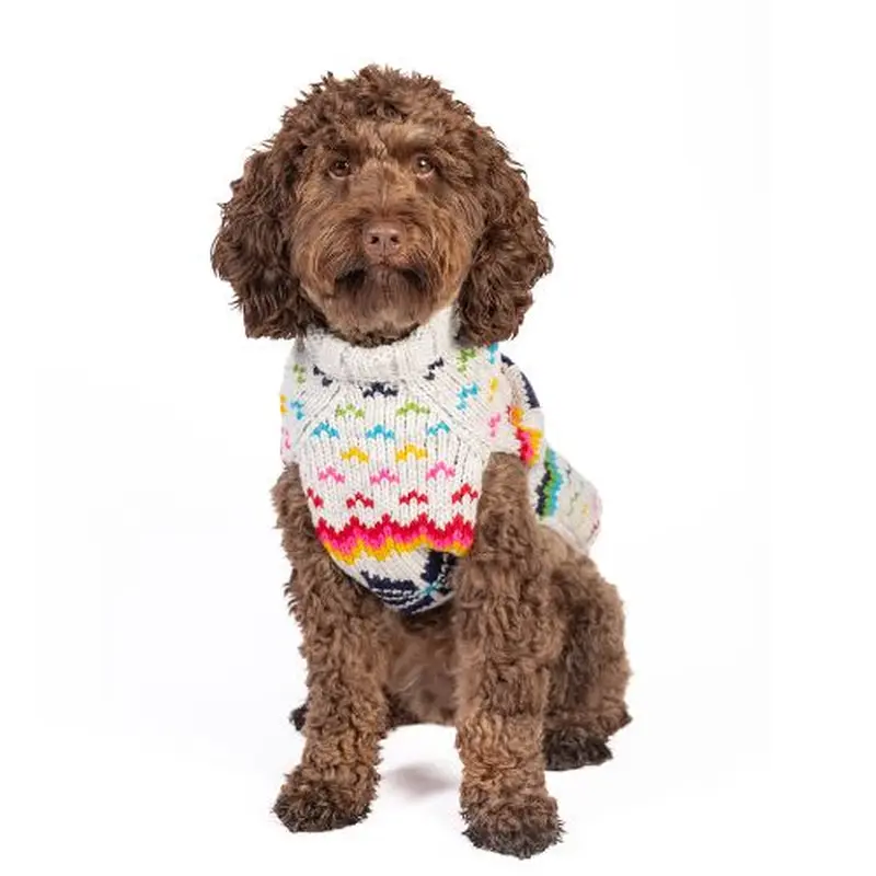 Rainbow Snowflake Dog Sweater