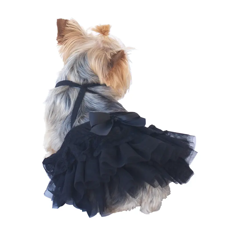 Zsa Zsa Cinema Skirt