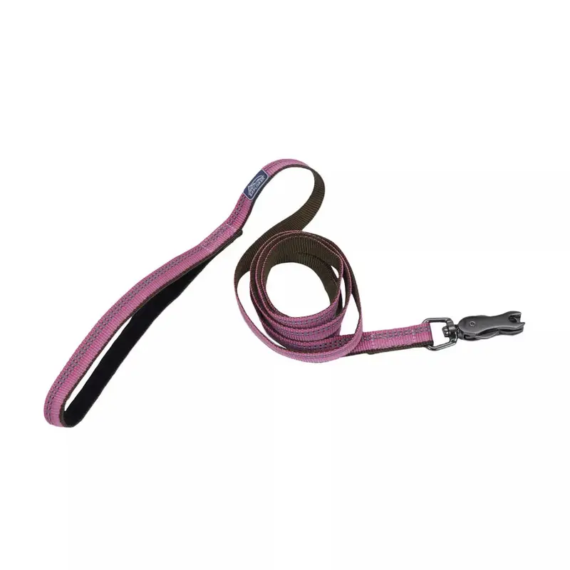 Coastal K9 Explorer 6ft Long 1in Reflective Dog Leash with Scissor Snap Rosebud