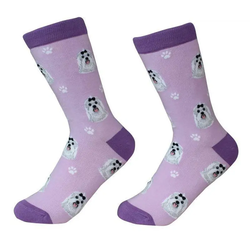 Pet Socks - Maltese