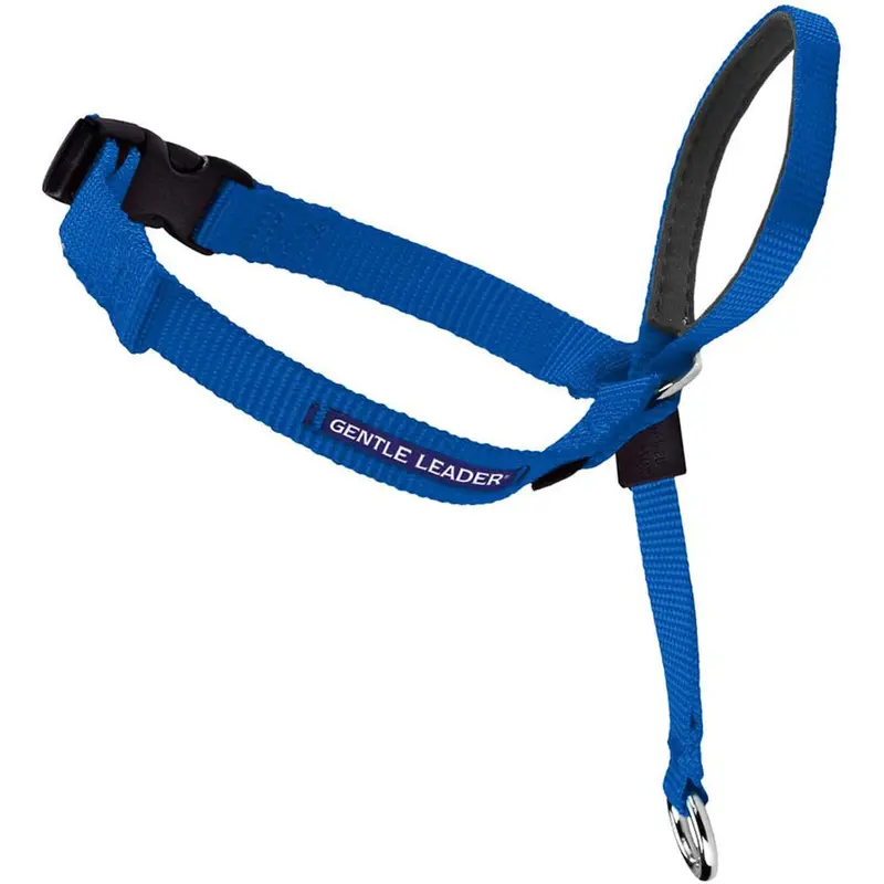 PetSafe Gentle Leader Headcollar Large Blue