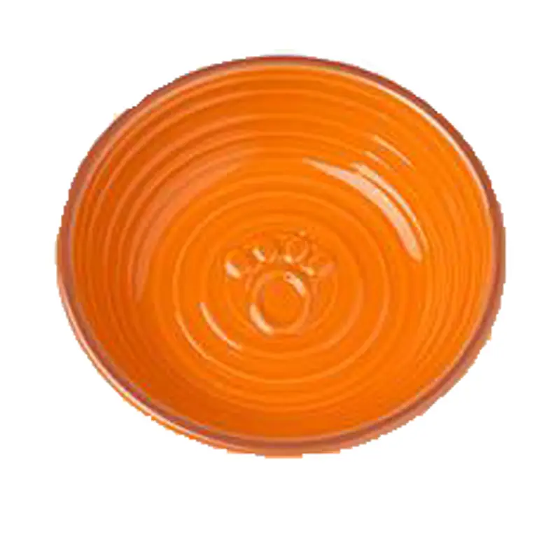 Petrageous Key West Paw Saucer