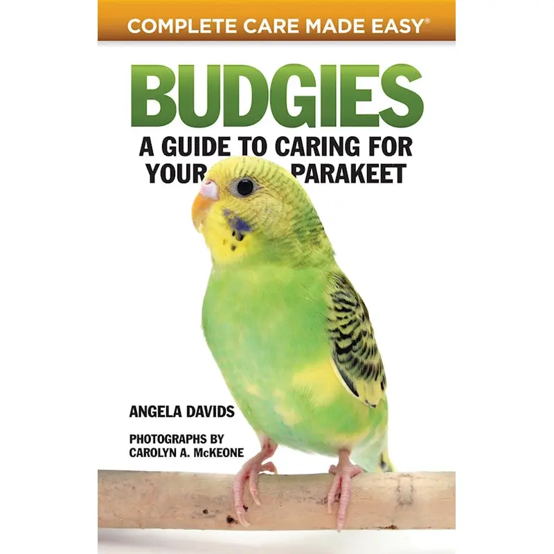 Budgies