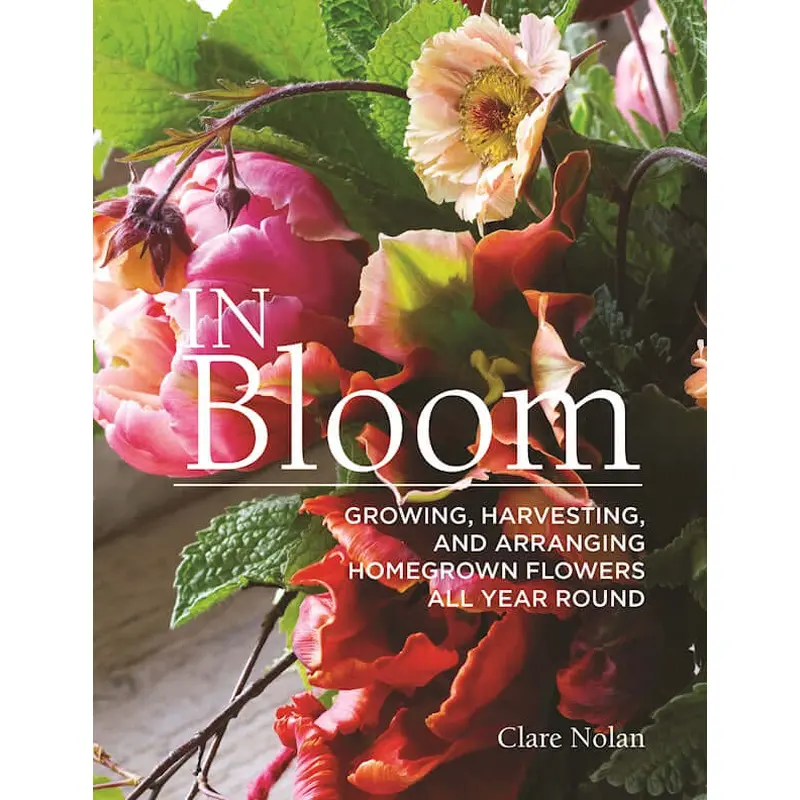 In Bloom