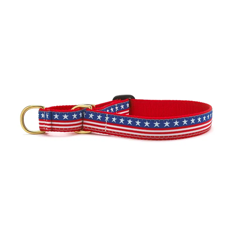 Stars and Stripes Martingale Dog Collar