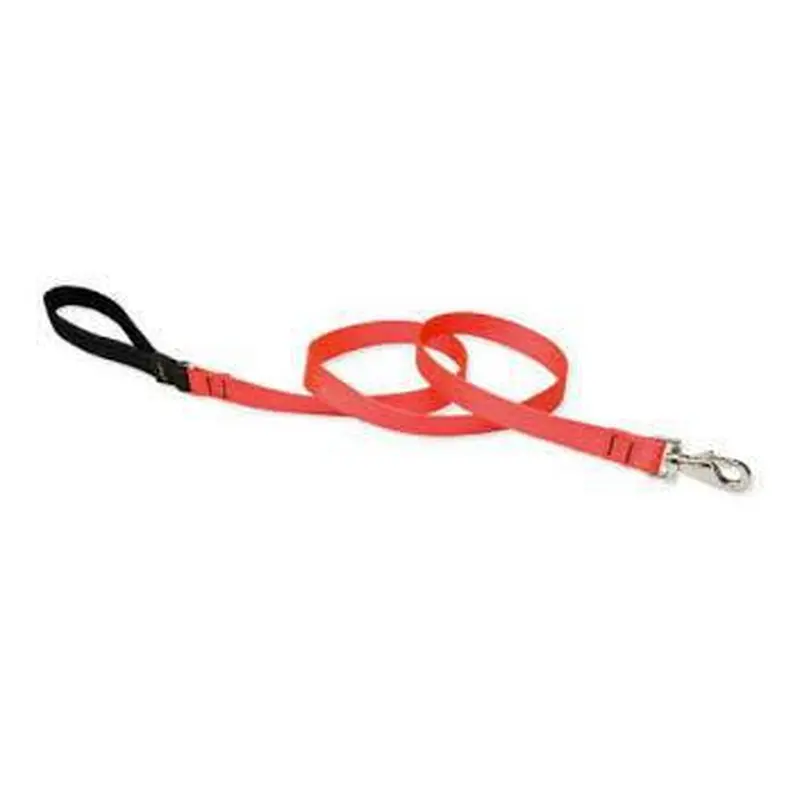 Lupine Basics 1in 6ft Leash - Blaze Orange