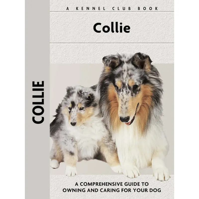 Collie (Comprehensive Owner's Guide)