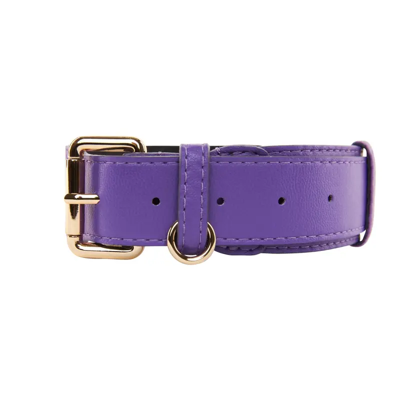 Purple Italian Leather Classic Collar