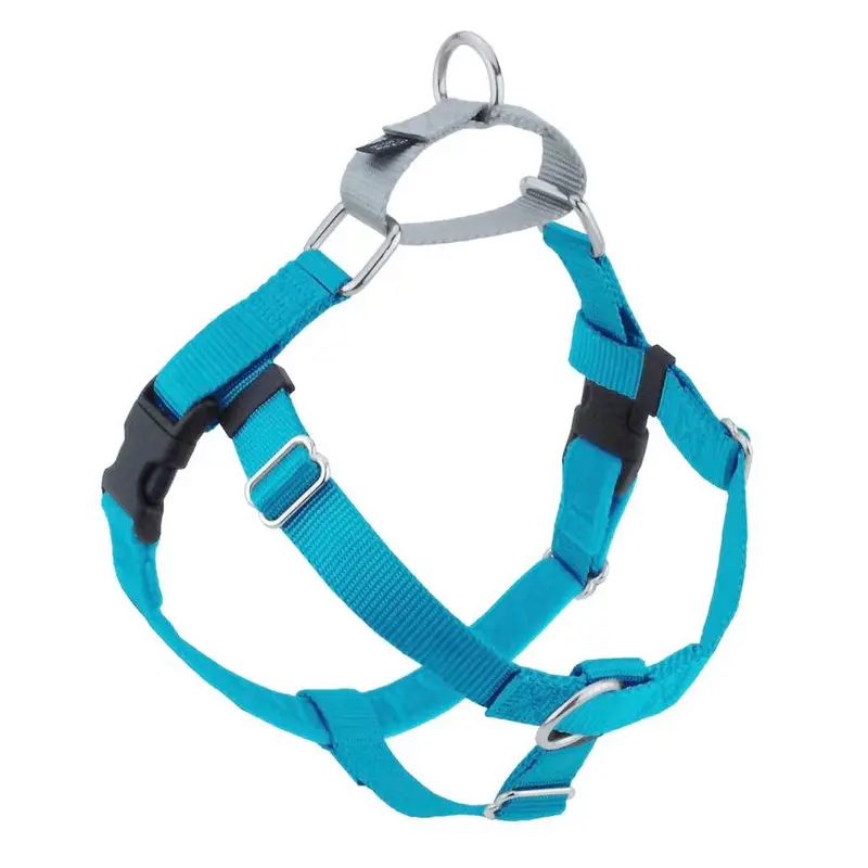 2 Hounds Design Freedom No-Pull Dog Harness - Medium 1" x 24-28" - Turquoise