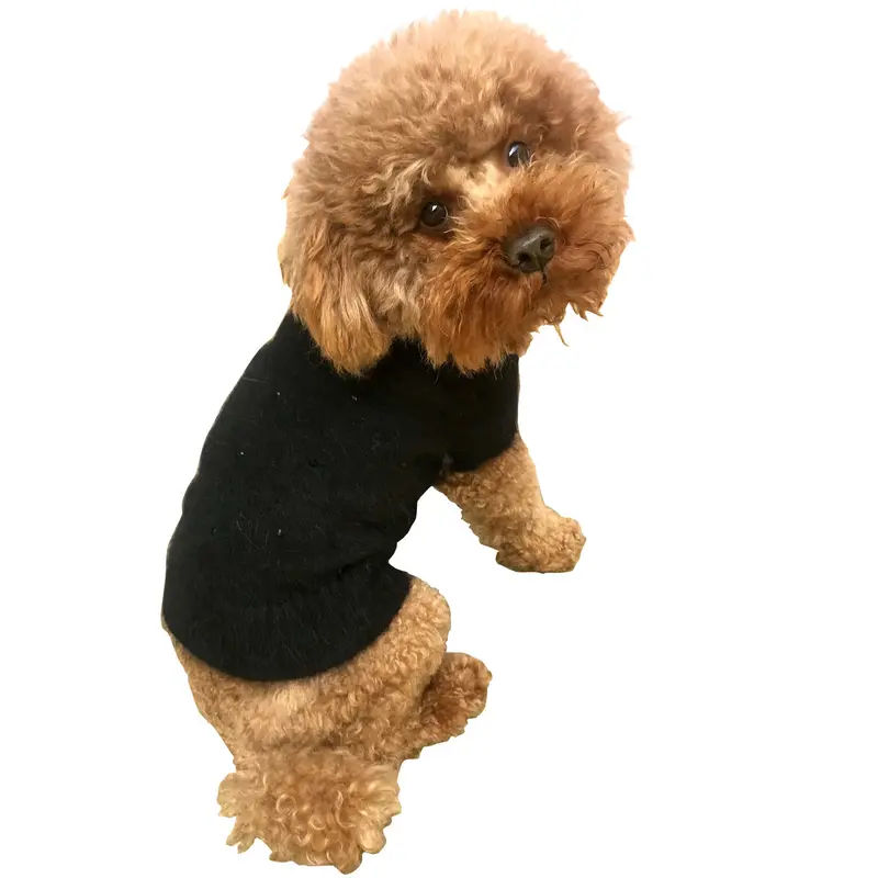 Super Glam Rhinestone Turtleneck, Black