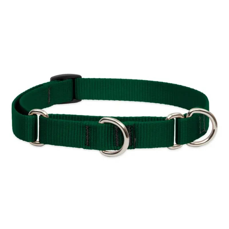 Lupine Pet Dog 3/4 In Wide 10-14 In Martingale Collar Basics Green