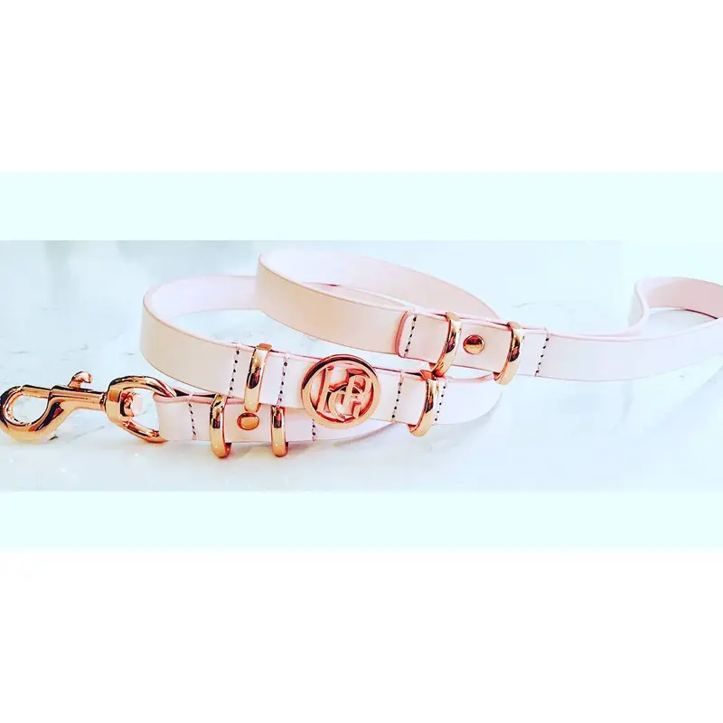 Leather Dog Leads