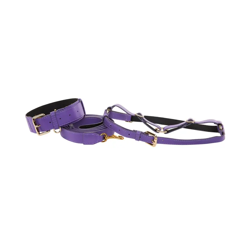 Purple Italian Leather Classic Collar, Leash, Harness Set