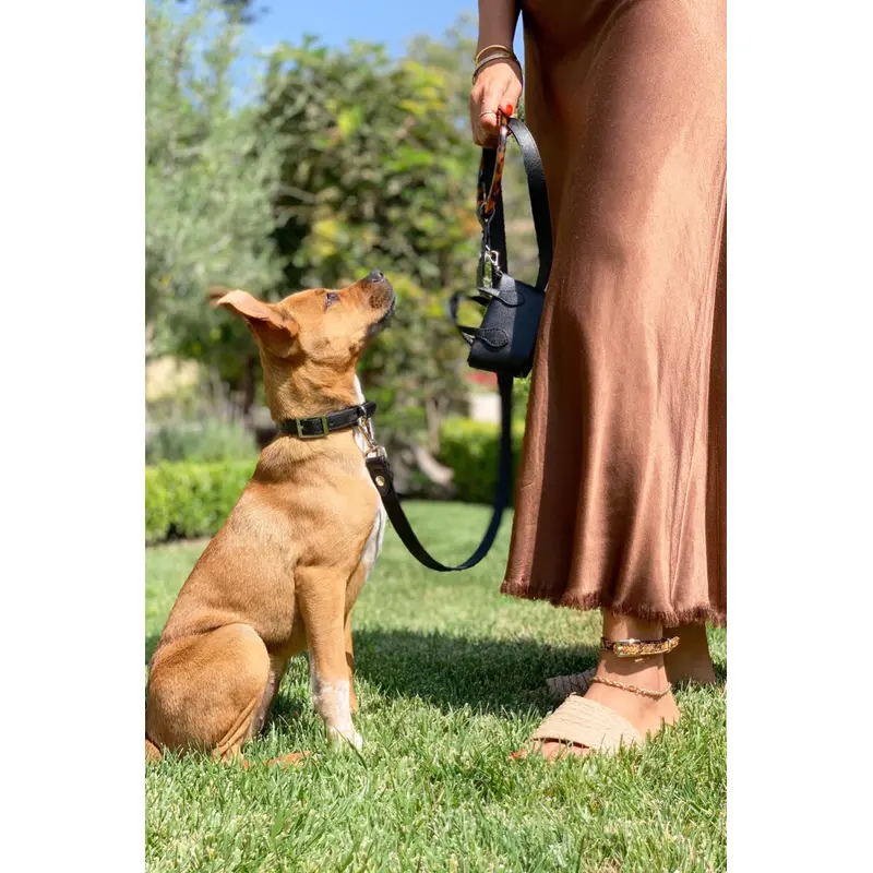 Susan Leash - Vegan Canvas
