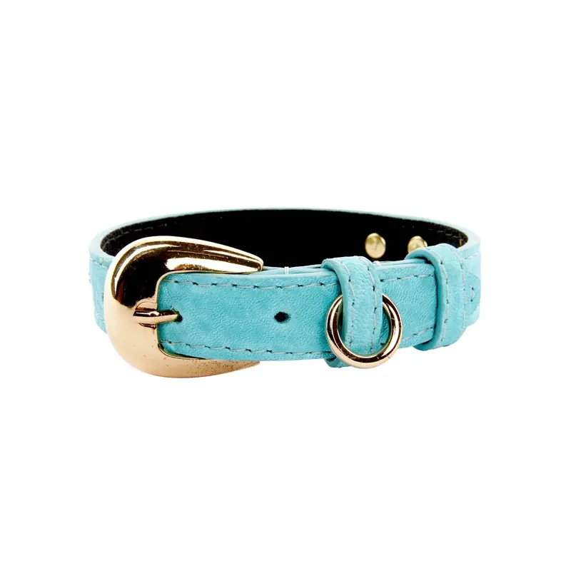 XS Turquoise Blue Italian Leather Collar With Gold Oval Buckle