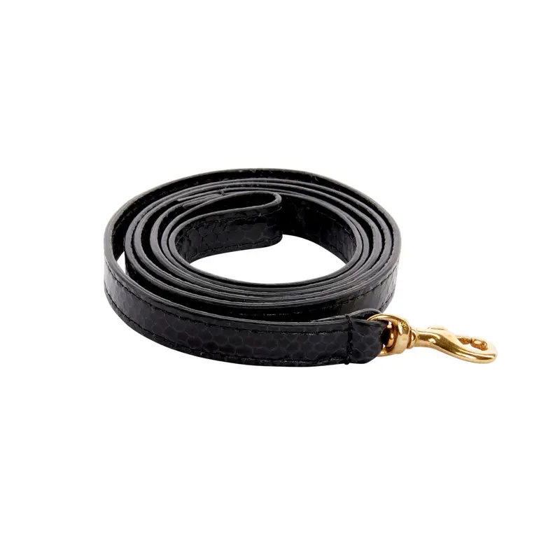 XS Black Snake Leash