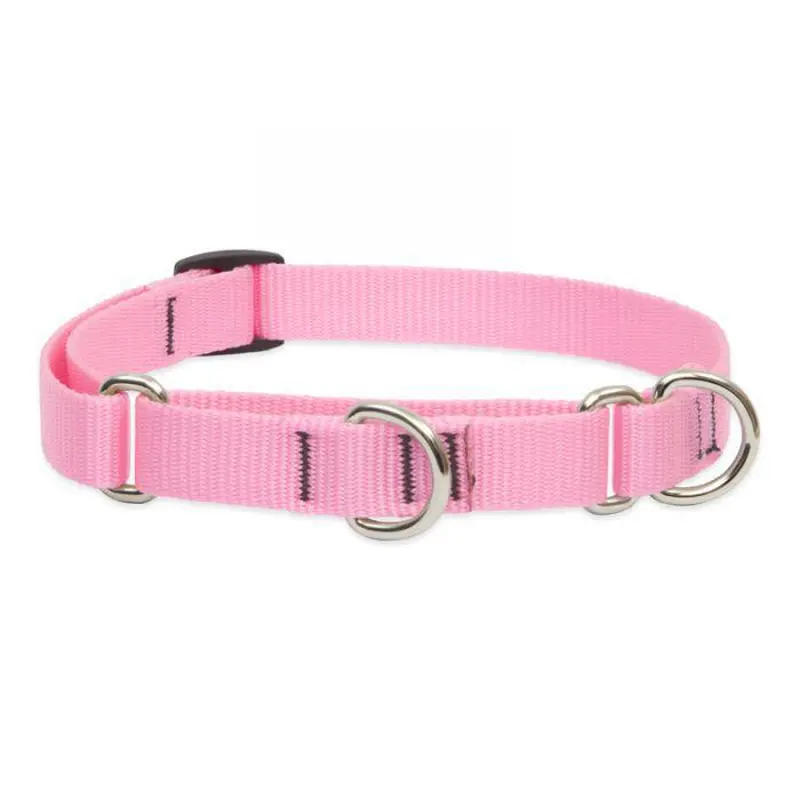 Lupine 3/4" Martingale Training Collar 10" to 14"