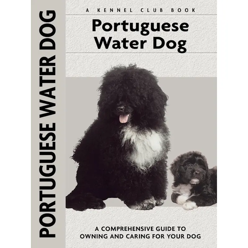 Portuguese Water Dog