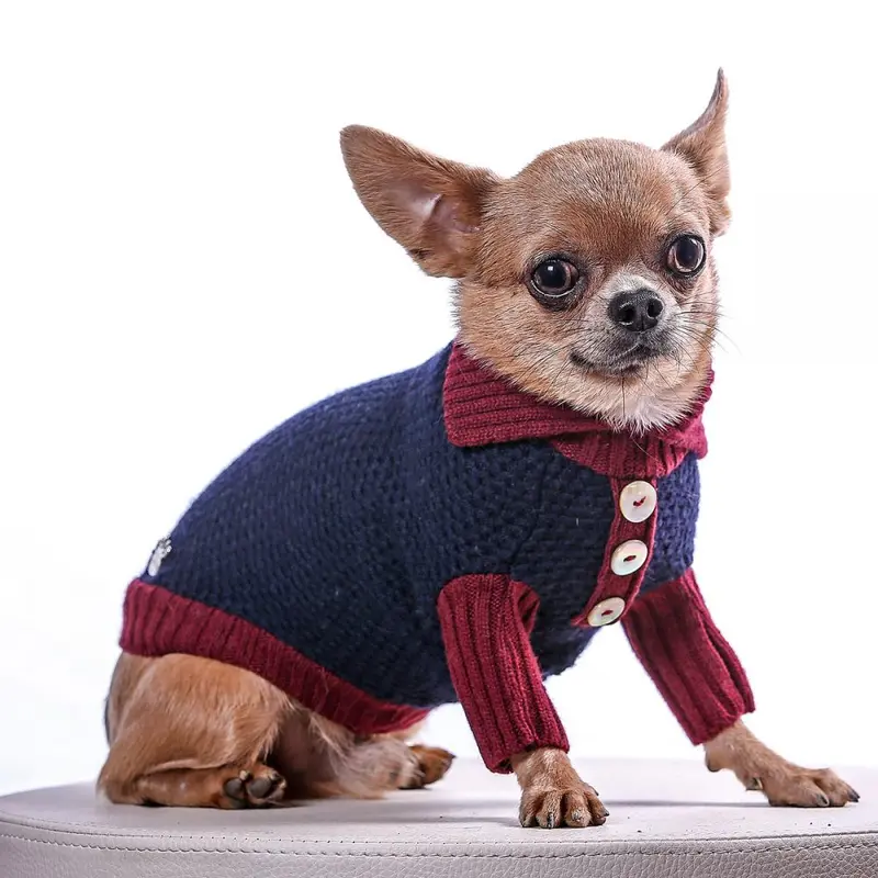 Sweater - Polo Blue and Burgundy