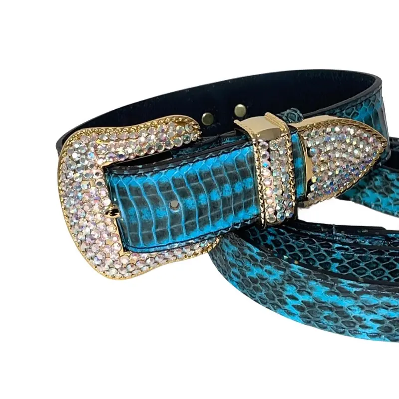 Turquoise & Black Swarovski Crystal Hardware Snake Collar & Leash Set