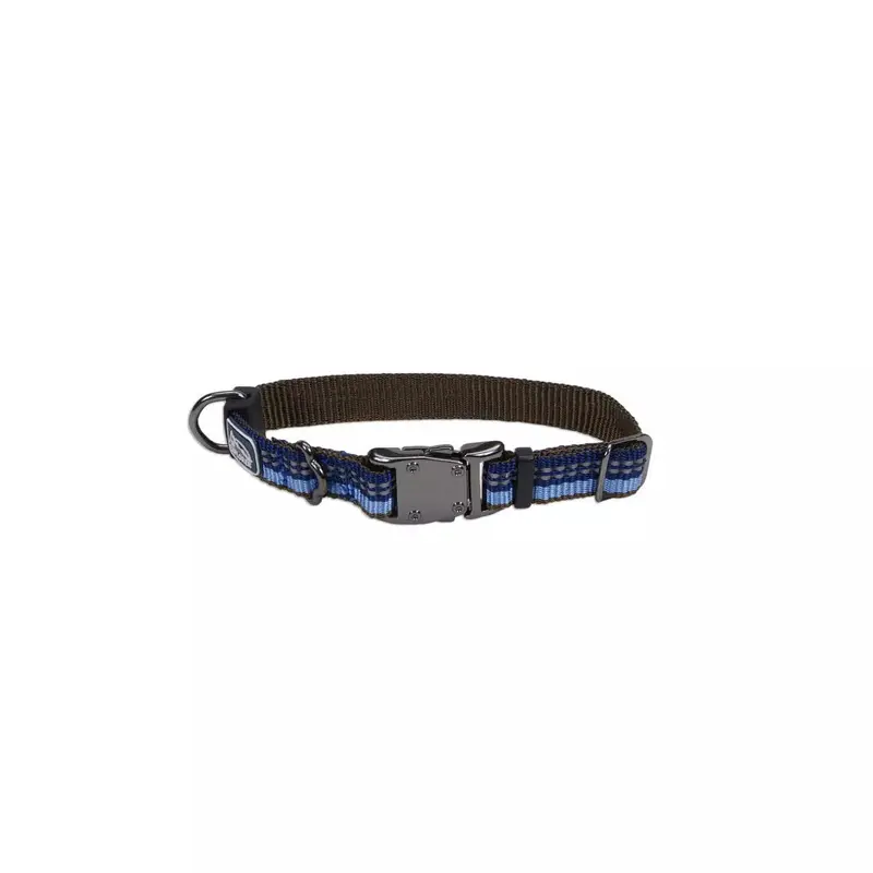 Coastal K9 Explorer 5/8in Wide 10-14in Reflective Adjustable Dog Collar Sapphire