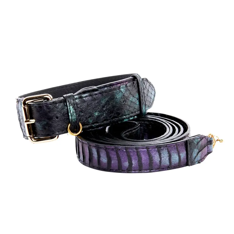 Black, Green, Purple Snake Classic Collar & Leash Set