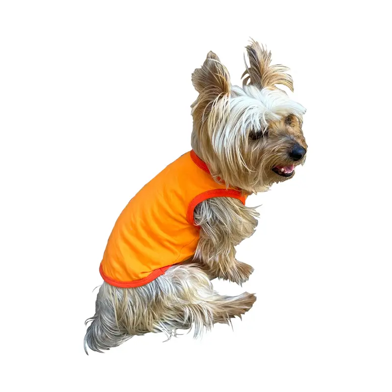 Summer Tank. Orange Cream